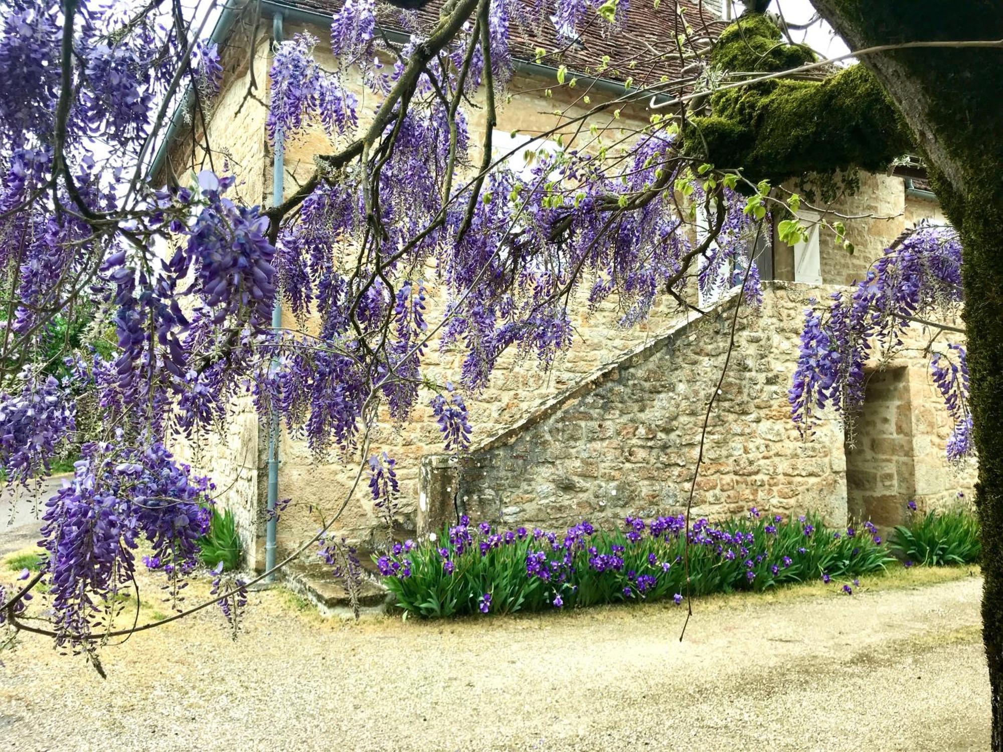Bed and Breakfast Manoir De Rieuzal Loubressac Exteriér fotografie