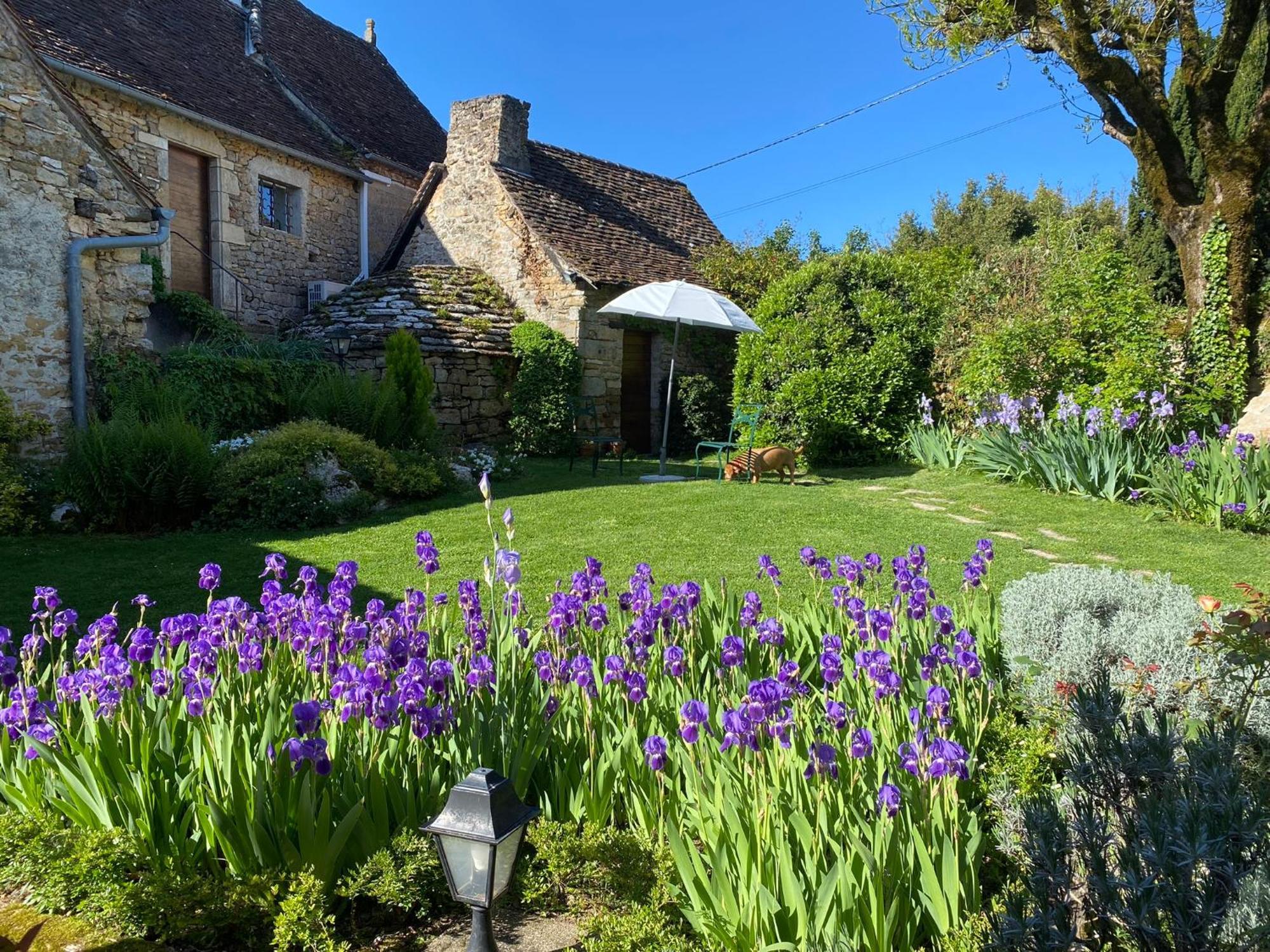 Bed and Breakfast Manoir De Rieuzal Loubressac Exteriér fotografie